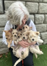 article image - IMG_2683